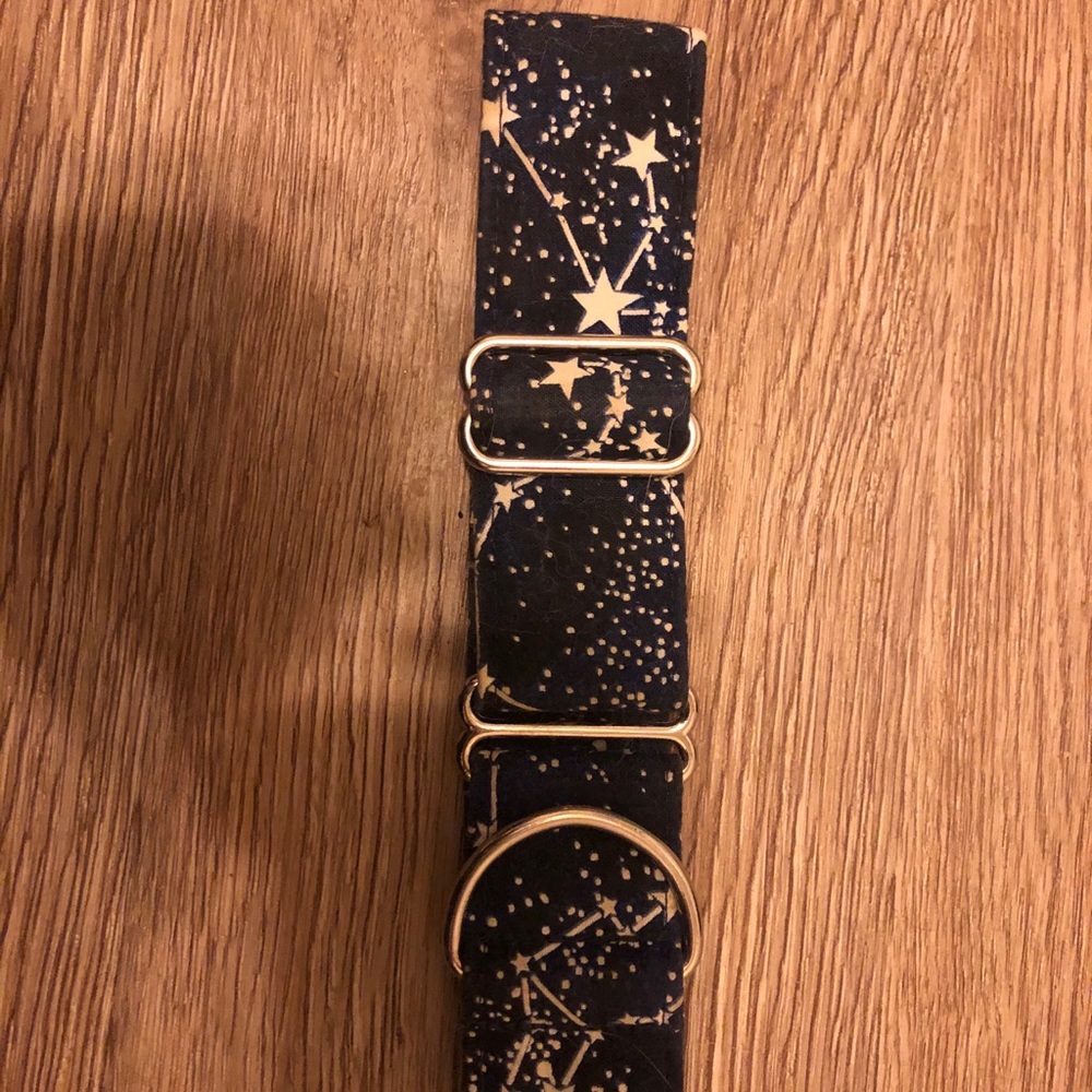 Space stars dog collar